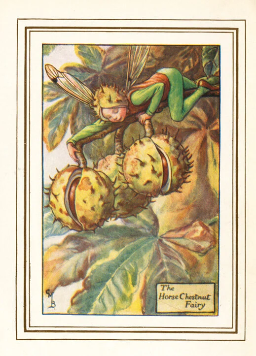 THE HORSE CHESTNUT FAIRY — The Royal Mile Gallery